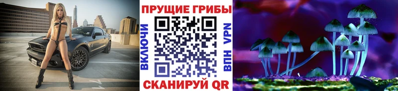 Псилоцибиновые грибы Psilocybe  Купить  Нелидово 