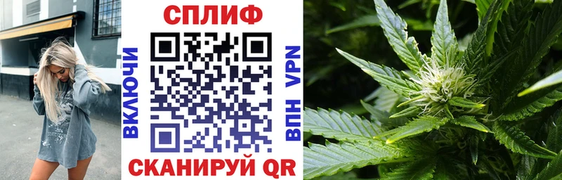 Купить  Нелидово  Канабис MAZAR 